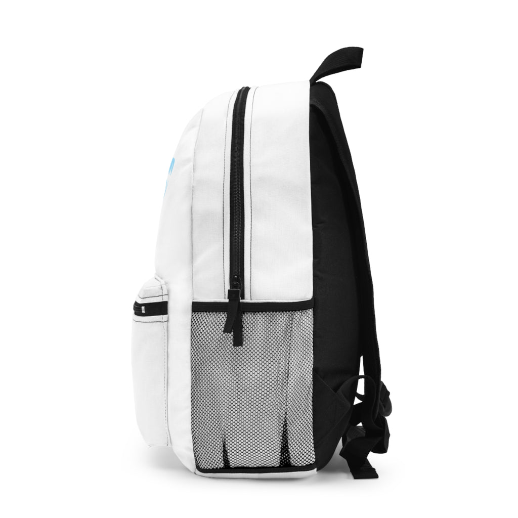 Airskape Backpack
