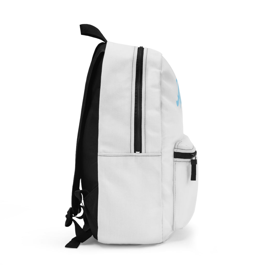 Airskape Backpack